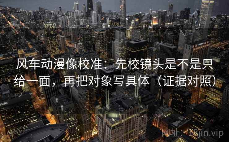 风车动漫像校准：先校镜头是不是只给一面，再把对象写具体（证据对照）